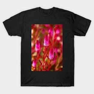 Wild Flowers T-Shirt